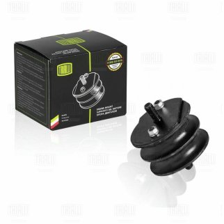 Опора двигателя TRIALLI RM 0101 фото
