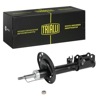 Амортизатор задний правый TRIALLI AG 19410 фото