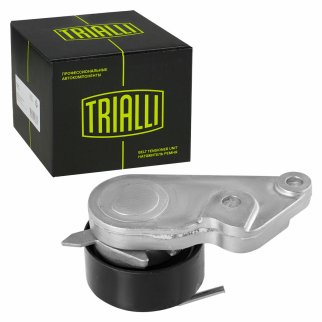 Ролик ГРМ TRIALLI CM 1001 фото 2