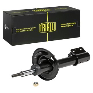 Амортизатор передний TRIALLI AG 09059 фото