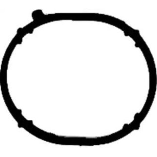 Прокладка впускного коллектора Victor Reinz 71-39022-00 фото