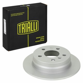 Диск торм. для а/м Mercedes A (W169)/B (W245) (04-) зад. d=258 (окраш.) (DF 250122) фото