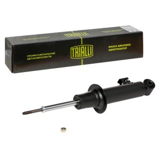 Амортизатор передний TRIALLI AG 11057 фото