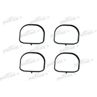 Прокладка впускного коллектора PATRON PG5-1024 фото