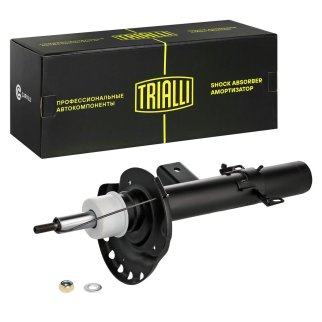 Амортизатор задний левый TRIALLI AG 10221 фото