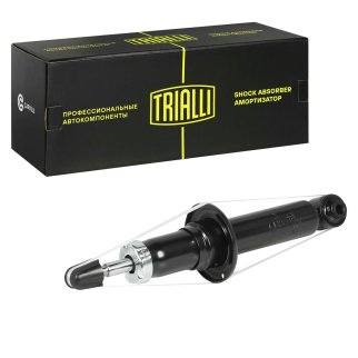 Амортизатор для а/м BMW X3 (F25) (10-) задн. TRIALLI AG 26507 фото