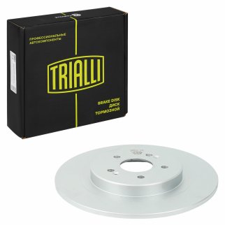 Диск торм. для а/м Chery Tiggo 8 (19-) зад. d=313 (DF 084409) фото