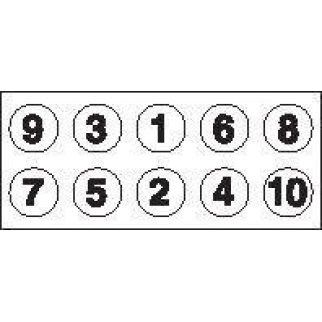 К-кт болтов головки блока Payen HBS110 фото