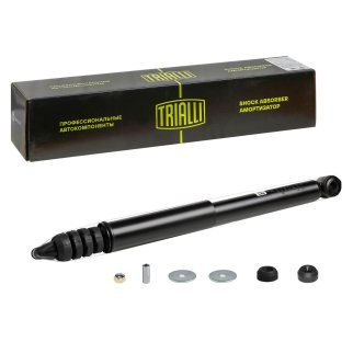 Амортизатор задний TRIALLI AG 09509 фото