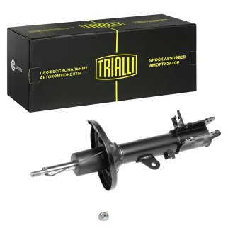 Амортизатор задний TRIALLI AG 08418 фото