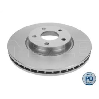 Торм.диск пер.вент.(300x28) 5 отв. /PLATINUM DISC/ фото