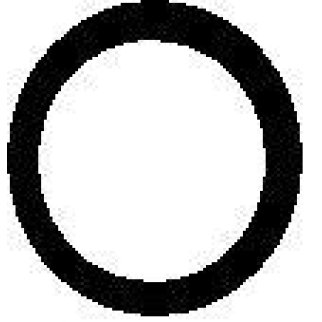 Кольцо уплотнительное (двигатель) Elring 170.518 фото