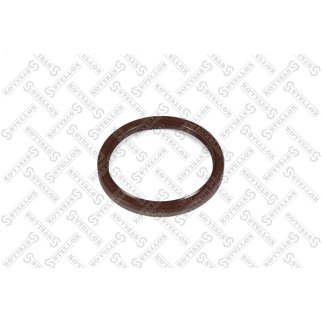 81-01370-SX_сальник КПП! FKM, 105x125x12 B1BASLRSX7 RVI, IVECO фото