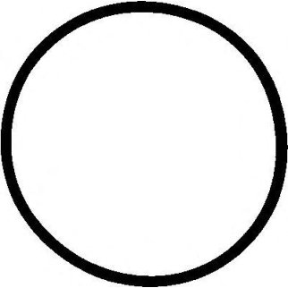 Прокладка помпы Elring 091.723 фото