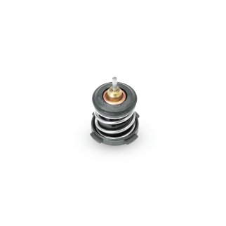 Термостат VW Polo (Sed RUS) (2011-2020), Skoda Rapid (2013-2020) фото 2 Термостат VW Polo (Sed RUS) (2011-2020), Skoda Rapid (2013-2020) фото 2