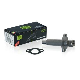 Натяжитель цепи TRIALLI MT154 фото