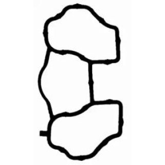 Прокладка впускного коллектора Victor Reinz 71-53746-00 фото