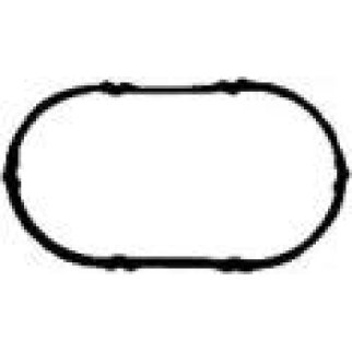 Прокладка впускного коллектора Victor Reinz 71-36182-00 фото