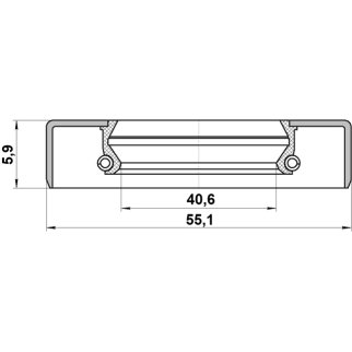 Сальник ступичный задний 42x55x6 FEBEST 95GDY-42550606X фото 2