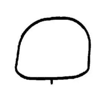 Прокладка впускного коллектора Victor Reinz 71-35537-00 фото