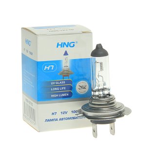 Лампа 12V H7 (100) PX26d 12V HNG фото