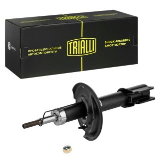 Амортизатор передний TRIALLI AG09052 фото