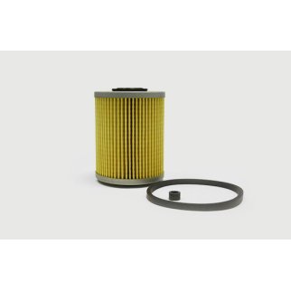 Фильтр топливный BIG FILTER GB-6421 фото