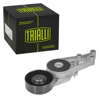 Ролик-натяжитель ручейкового ремня TRIALLI CM5082 фото 2