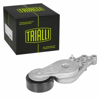 Ролик-натяжитель ручейкового ремня TRIALLI CM5082 фото