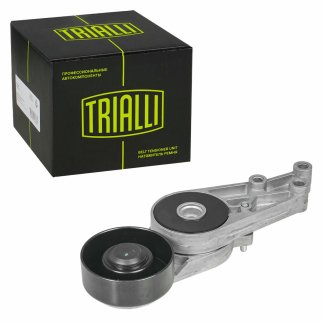 Ролик-натяжитель ручейкового ремня TRIALLI CM5082 фото 2