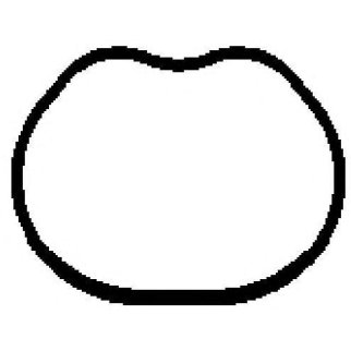 Прокладка впускного коллектора MAZDA 2/FORD FUSION/FIESTA 1.2/1.4/1.6 16V (Х4) ВПУСК фото