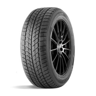 Автошина R19 255/50 DoubleStar DW09 107T зима 3PN02555019E000004 фото