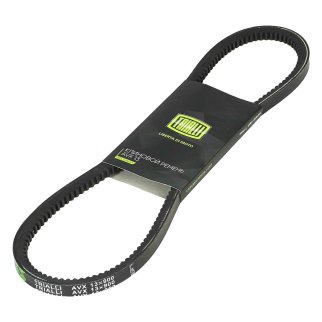 Ремень клиновой TRIALLI AVX 13X900 фото