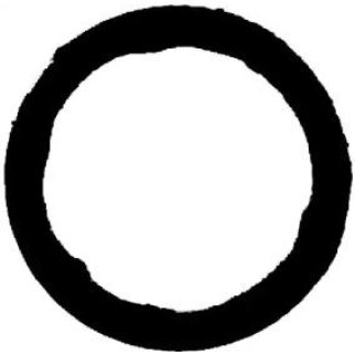 Прокладка выпускного коллектора Victor Reinz 71-10129-00 фото