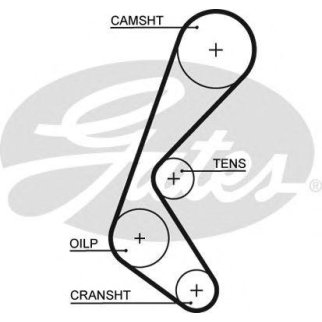 Ремень ГРМ FIAT Palio 1.0i 96- фото