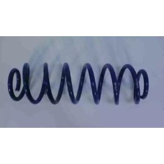 Пружина задняя TORQUE TS5023 фото