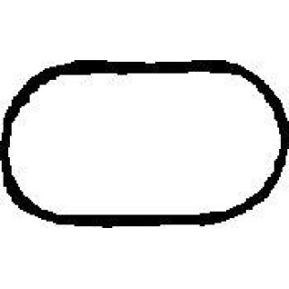 Прокладка впускного коллектора Elring 888.605 фото