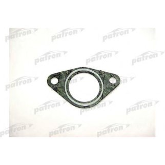 Прокладка впускного коллектора PATRON PG5-1009 фото
