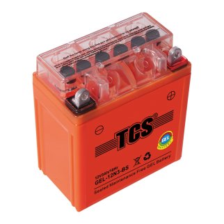 Аккумуляторная батарея TCS GEL 3 (12N3-BS) 98x56x110 фото