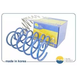 Пружина передняя AMD AMD.SP114 фото