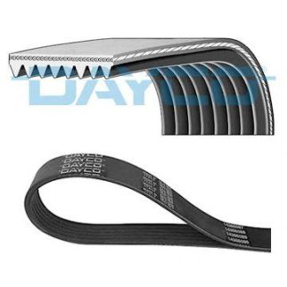 Ремень ручейковый DAYCO 8PK1110HD фото
