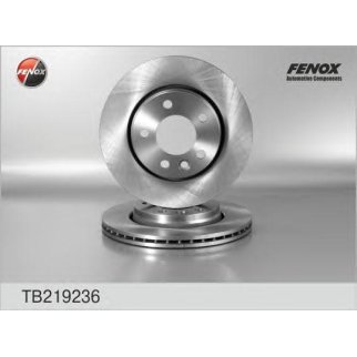 Диск тормозной задний Fenox TB219236 фото