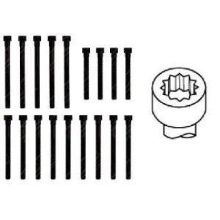 К-кт болтов головки блока Payen HBS058 фото