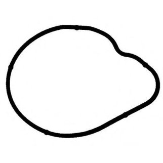 Прокладка термостата Victor Reinz 71-36584-00 фото