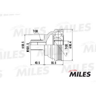 ШРУС наружный MILES GA20025 фото