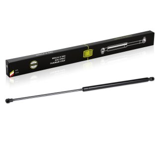 Газовый упор багажника TRIALLI GS 0506 фото