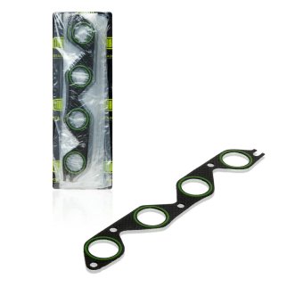 Прокладка впускного коллектора TRIALLI GZ 102 0012 фото