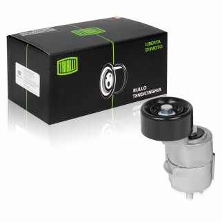 Ролик ручейкового ремня TRIALLI CM 0807 фото