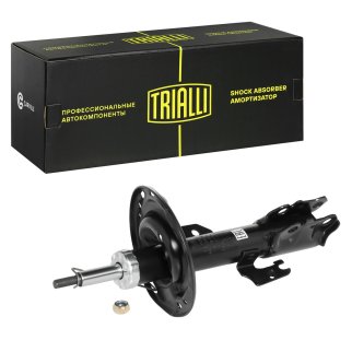 Амортизатор передний левый TRIALLI AG 19156 фото