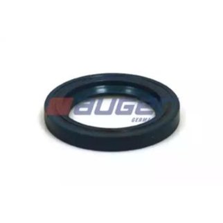 AUG54878_сальник тормозного вала! (рм) 42x62x8 RVI фото